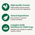 thumbnail image 4 of Nutro Natural Choice Premium Loaf Chicken Recipe Adult Wet Dog Food 12.5 oz Can Pack of 12, 4 of 13
