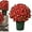 5bundle Scarlet, variant on Funsdecor Mums - Artificial Outdoor Sunset Mums Flowers UV Resistant, Fade Resistant & Waterproof, Realistic Look with Eucalyptus for Porch, Fall Decor