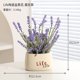 thumbnail image 2 of Flores artificiales falsas, plantas verdes falsas, plantas en macetas, sala de estar, comedor, decoración de escritorio, 2 of 5