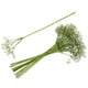 thumbnail image 2 of KAKOWELY Ramo de gypsophila simulada, ramo de flores artificiales para decoración de bodas., 2 of 5