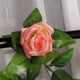 thumbnail image 5 of 2 guirnaldas colgantes de rosas artificiales de seda, 2,4 m (8 pies), ideales para decoración de bodas y del hogar., 5 of 9