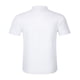 thumbnail image 4 of pstuiky Camisas de manga corta para hombre, Camiseta de cuello redondo de color liso para hombre, holgada, para cultivar la integridad moral camisetas de hombre xxl, 4 of 7