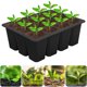 thumbnail image 4 of Propagación Semillas Contenedor Flower Planta Cultiva Caja Bandeja Arranque 12 Agujeros Silicona Transpirable Reutilizable para Que Crecen Comenzando, 4 of 8
