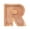 R, variant on Mikilon Wooden Letter Bank, 26 Letters Wooden Letter Alphabet Money Bank for Boys Girls, Transparent Saving Coin Bank for Toddlers Kids Adults Birthday Christmas Gift and Home Decor
