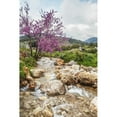 thumbnail image 2 of Posterazzi DPI12291044LARGE Stream Coming Off Mount Herman with Lush Grass & Blossoming Shrubs - Israel Poster Print by Reynold Mainse, 24 x 38 - Large, 2 of 4