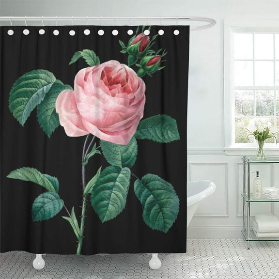 Libin Roses Pink Rose Black Redoute Shower Curtain 66x72 inch