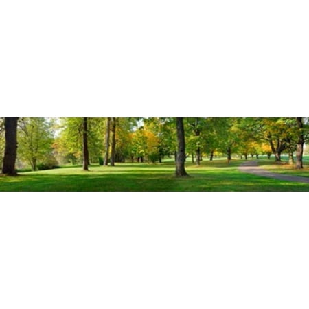 Trees in autumn Blue Lake Park Portland Multnomah County Oregon USA Canvas Art - Panoramic Images (20 x (Best Parks In Portland)