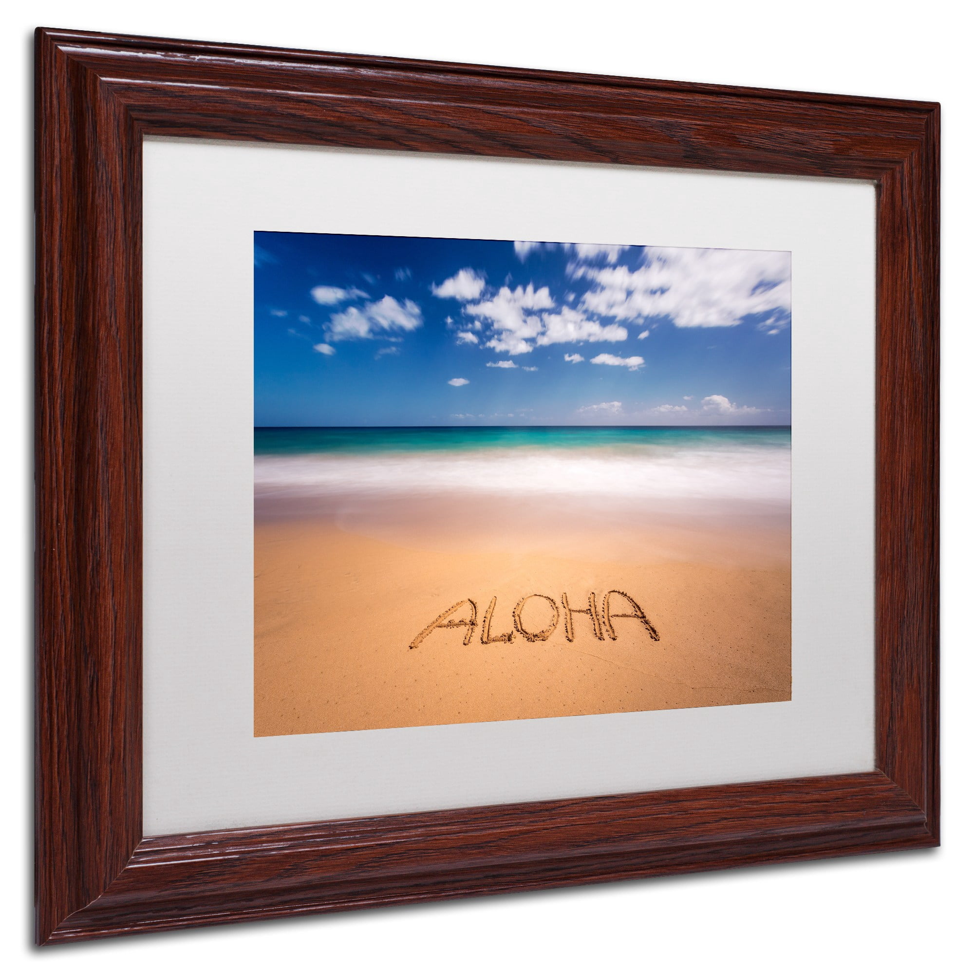 Trademark Fine Art 'Aloha' Canvas Art by Pierre Leclerc, White Matte, Wood Frame