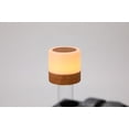 thumbnail image 5 of Luz de noche, mini lámpara de noche multicolor de 360°, luz de noche recargable con control táctil, brillo ajustable y control remoto., 5 of 5