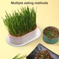 thumbnail image 4 of Caja de hierba para gatos, práctica bandeja para germinar semillas, plástico sin suelo para interiores y exteriores, 4 of 7