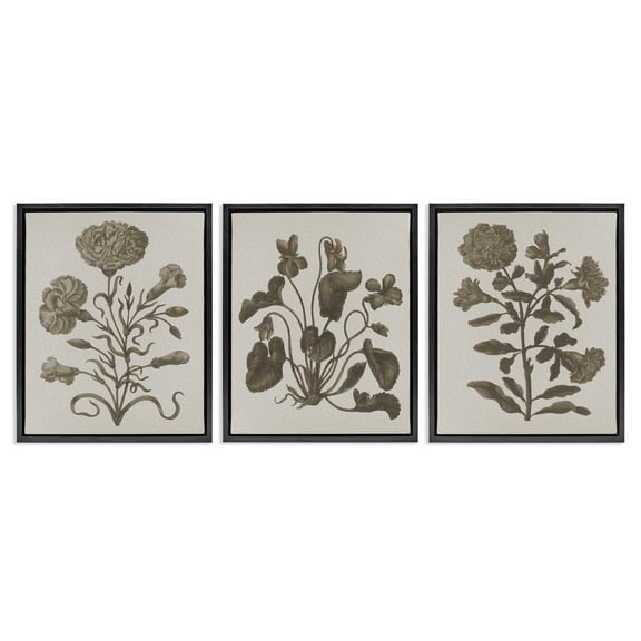 Stupell Industries Vintage Country Botanicals Plants & Flowers Painting Black Floater Framed Canvas Art Print Wall Art, 17 x 21, Set of 3