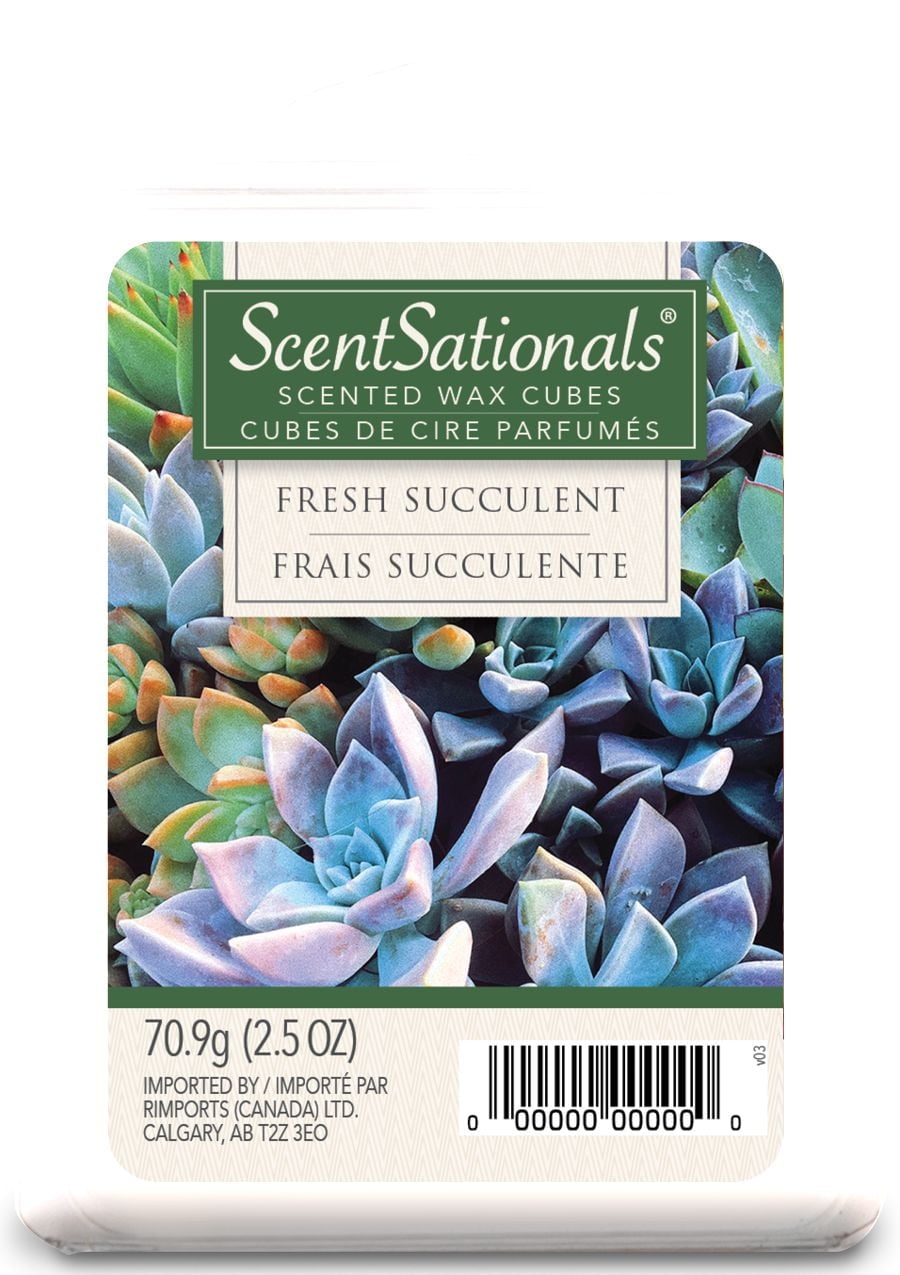ScentSationals Scented Wax Cubes - Fresh Succulent