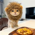 Lions Maine Rabbit Lion Mane Costume for Cats, Rabbit, Small Dog, Dog Hat, Pet Cute and ...