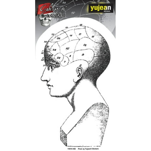 CABINET OF CURIOSITIES PHRENOLOGY HEAD STICKER - Matt Stewart Art's Orignal Artwork In/Out Door STICKER - 3.5" x 5.5"