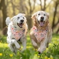 thumbnail image 3 of Dog Bandana 2 Pack,Pink Cow Flower Cow Pattern Bandanas for Dogs,Cat Bandana,Small/ Large Dog Bandana 2 Size,Dog Bandanas Girl Boy, 3 of 5