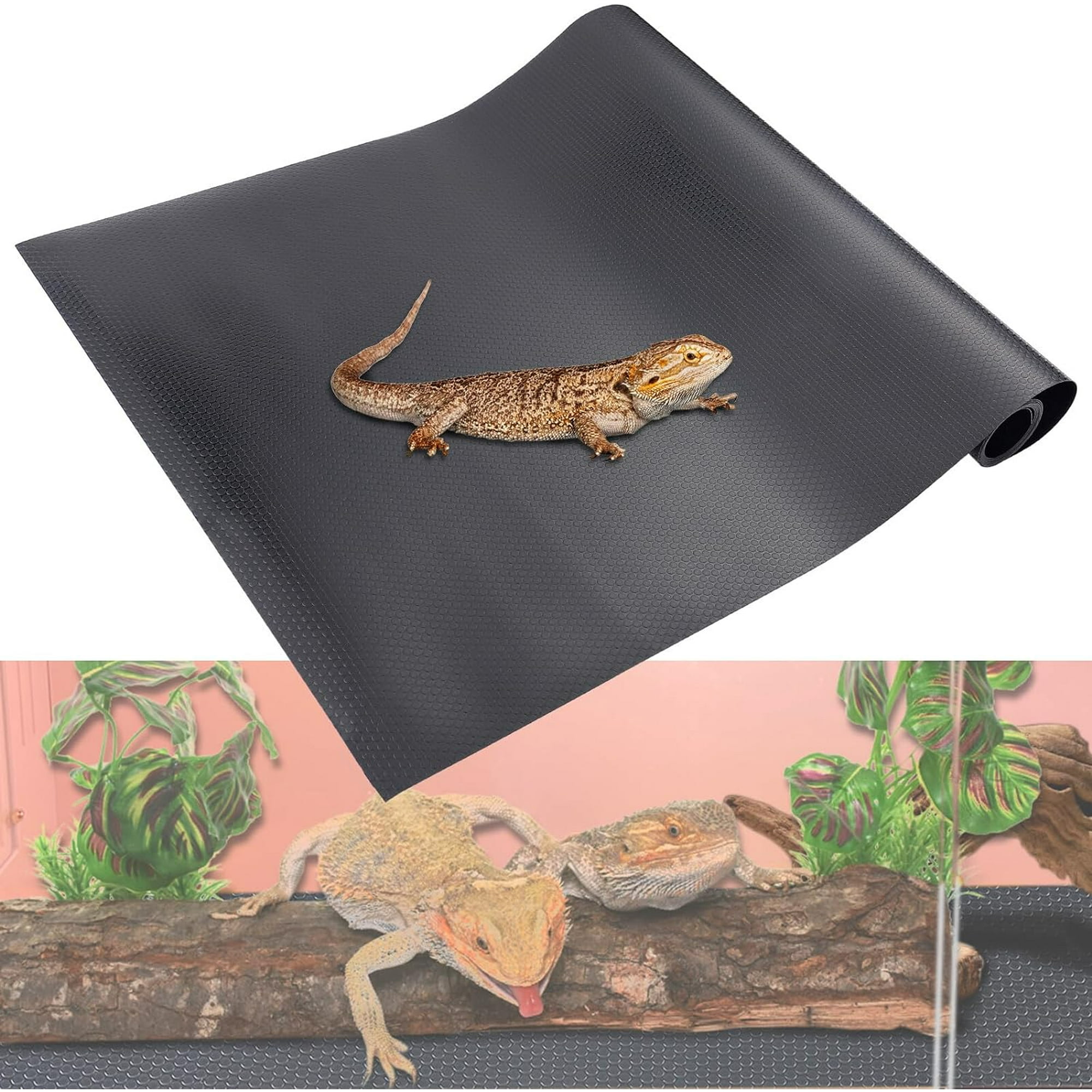 Gecko accessories 2025