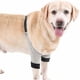 thumbnail image 3 of ZHAOCHENG Protector de codo para perro, funda ajustable para pata delantera, protección para recuperación de lesiones por cirugía de mascotas, 1 par, 3 of 5