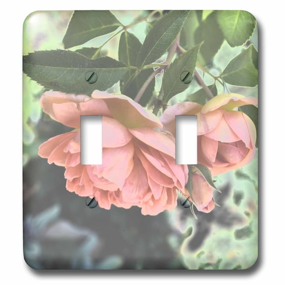 3dRose, Expressive Peach Roses Flowers Designs Inspired by Nature, double toggle switch