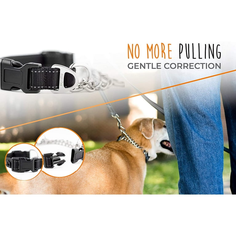 Dog gear cheap ltd