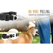 Martingale Collar, Training Dog Collar, Limited Cinch Chain Pet Gear for No Pull Dog Walking