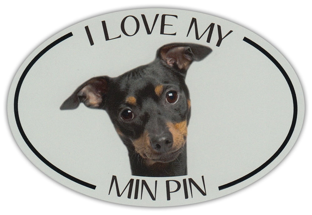 I love my min pin 2025