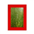 thumbnail image 1 of Vert Citrouille Peel Macro Photo Patterns Image Affichage Art Rouge Cadre Photo, 1 of 4