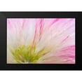 thumbnail image 2 of Mahan, Kathy 18x13 Black Modern Framed Museum Art Print Titled - Mimosa Tree Blossom IV, 2 of 5