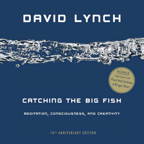 Catching the Big Fish: Meditation, Consciousness, and Creativity, (Paperback)