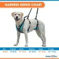 thumbnail image 5 of Walkin' Pets Lift-n-Step Dog Harness for Full Body Support - Aqua - Small, 5 of 8