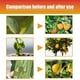 thumbnail image 4 of Liquid Citrus Tree Plant Fertilizers Fruit Growth Nutrient Solution for Indoor Outdoor Use, 4 of 5