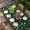 Dark Green Black, variant on St. Patrick's Day Table Cloths for 4 Foot Rectangle Tables, Dark Green Lucky Shamrock Leaves Spring Patio Waterproof Elastic Fitted Tablecloths, Washable Rectangular Table Cover for Camping