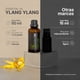 thumbnail image 2 of Aceite Esencial De Ylang Ylang | 50 ml | Ingredientes Puros y Naturales | Ylang Ylang Essential Oil | B Life., 2 of 6