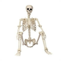 Deeceymbur Realistic Human Skeleton with Articulated Joints Halloween Decoration Hanging Yard Display 64.96x18.5in