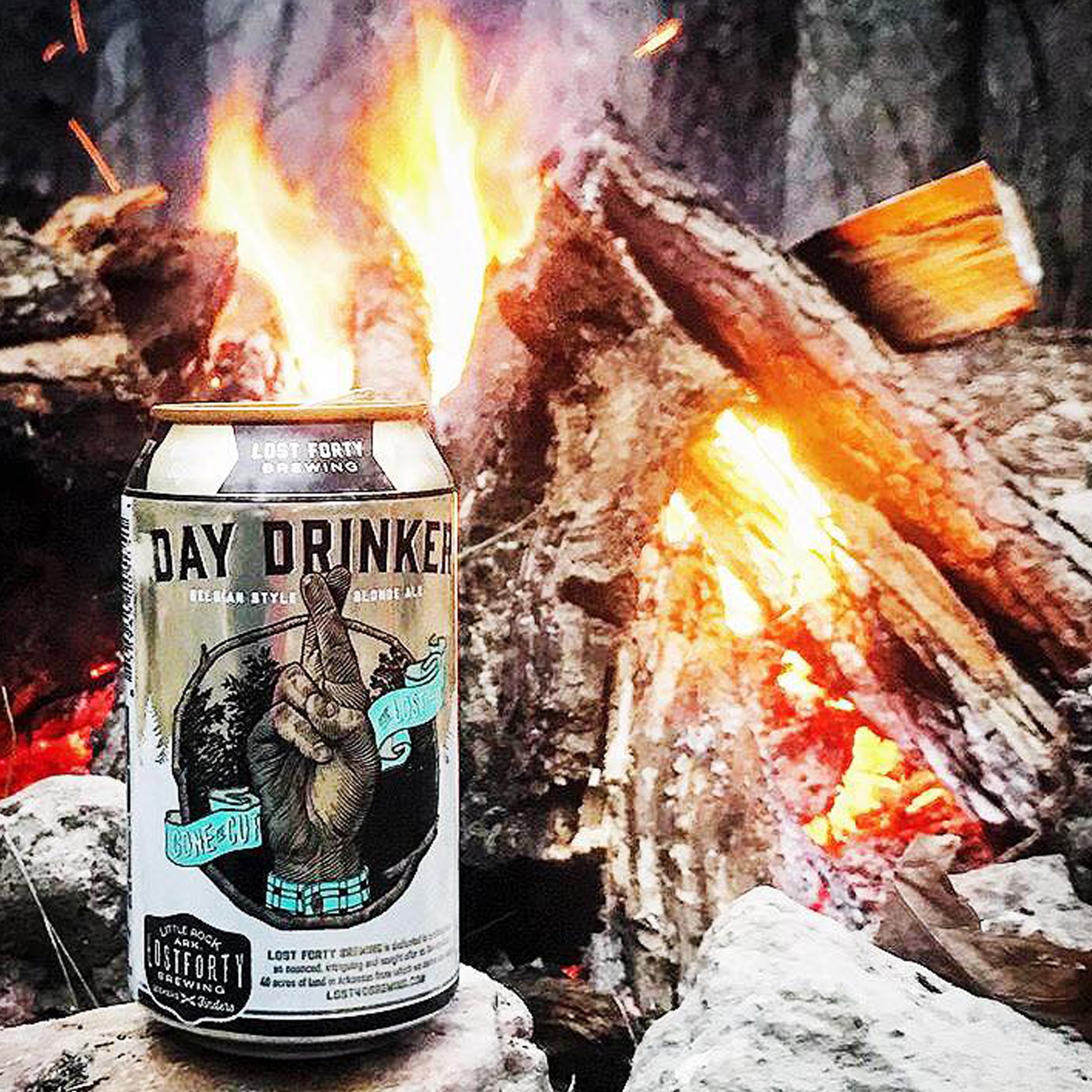Lost Forty Brewing Day Drinker Belgian Blonde Craft Ale, 12 fl oz 6 Pack Cans, 4.8% ABV