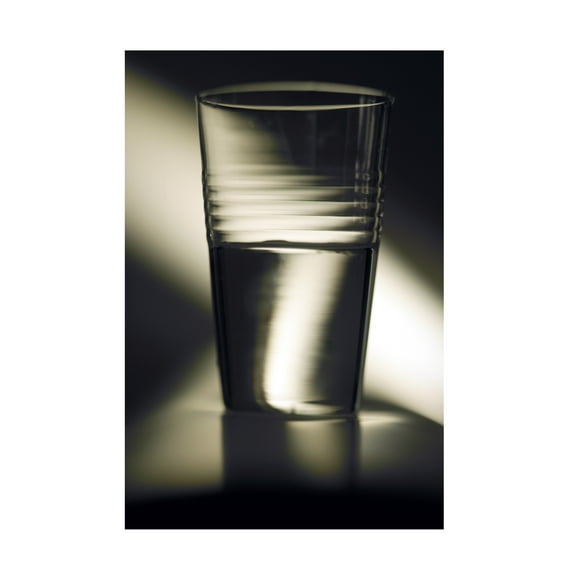 Trademark Fine Art 'Optimism Half Full Glass' Canvas Art by Joe Felzman Photography