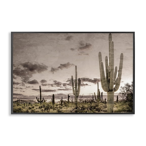 Stupell Industries Rustic Lodge Desert Sky Wilderness Black Framed Giclee Art, 18 x 12, by Kim Allen