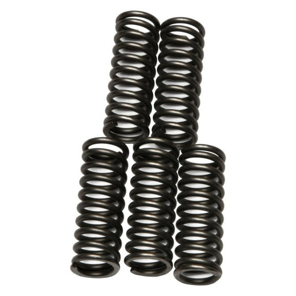 EBC CSK Series Heavy Duty Clutch Spring Kit