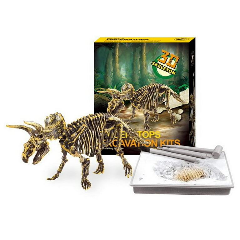 Paleontology hotsell starter kits