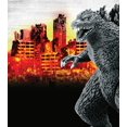 thumbnail image 1 of Playmayes - Classiques Toho - Godzilla - Figurine 11 Pouces, 1 of 2