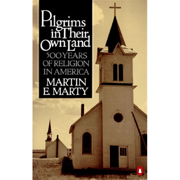 Pre-Owned Pilgrims in Their Own Land: 500 Years of Religion in America (Paperback) 0140082689 9780140082685