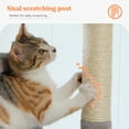 thumbnail image 4 of PAWZ Road 49" Large Cat Tree Multi-Level Scratcher with Two Hammocks&Condo for Indoor Cats Gray, 4 of 11