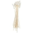 thumbnail image 3 of White Dried Grass Flowers for Home Wedding Decor (60pcs), 3 of 6