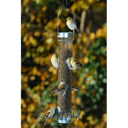 Droll Yankees Inc Classic Finch Tube Bird Feeder Walmart Com