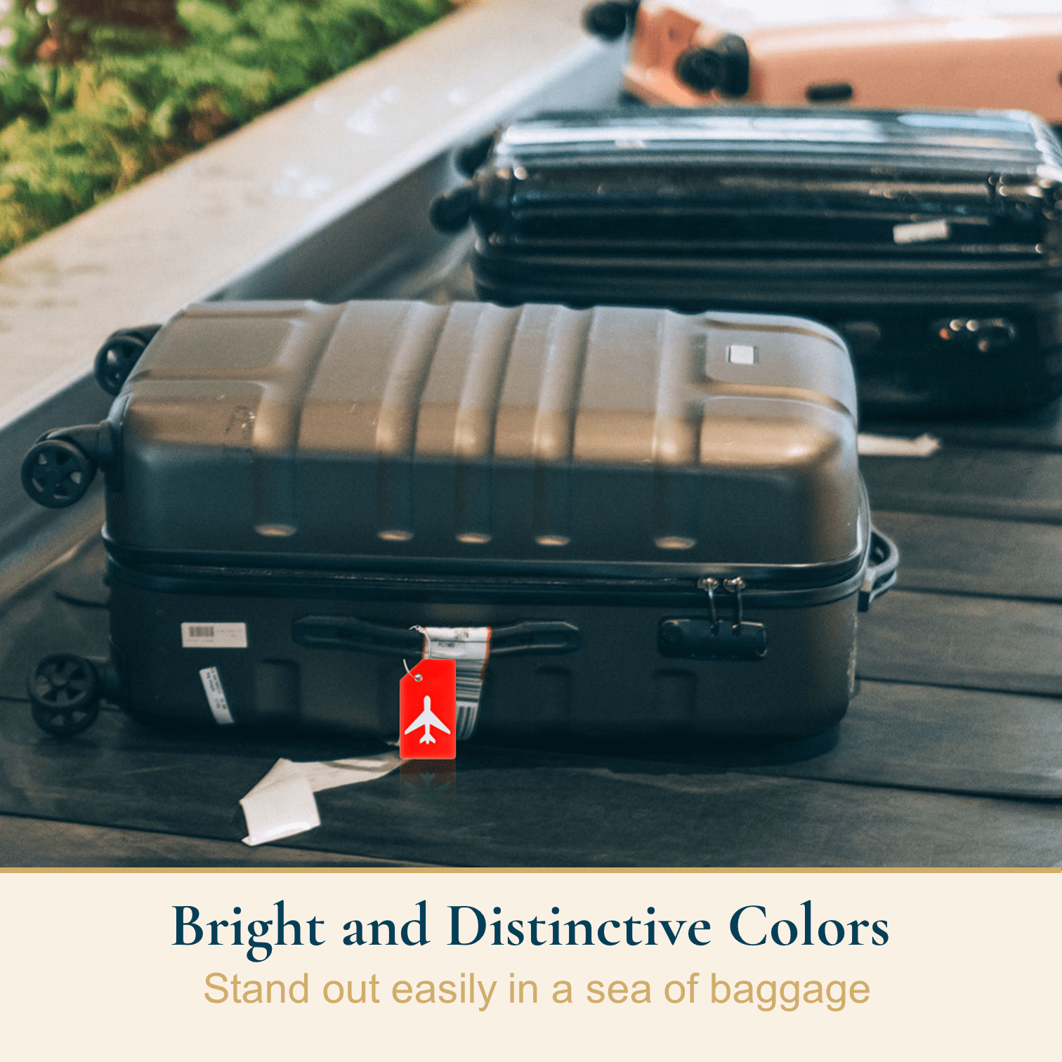 Myrtle Beach South Carolina Souvenir Luggage Tag 2-Pack – R & R INC.