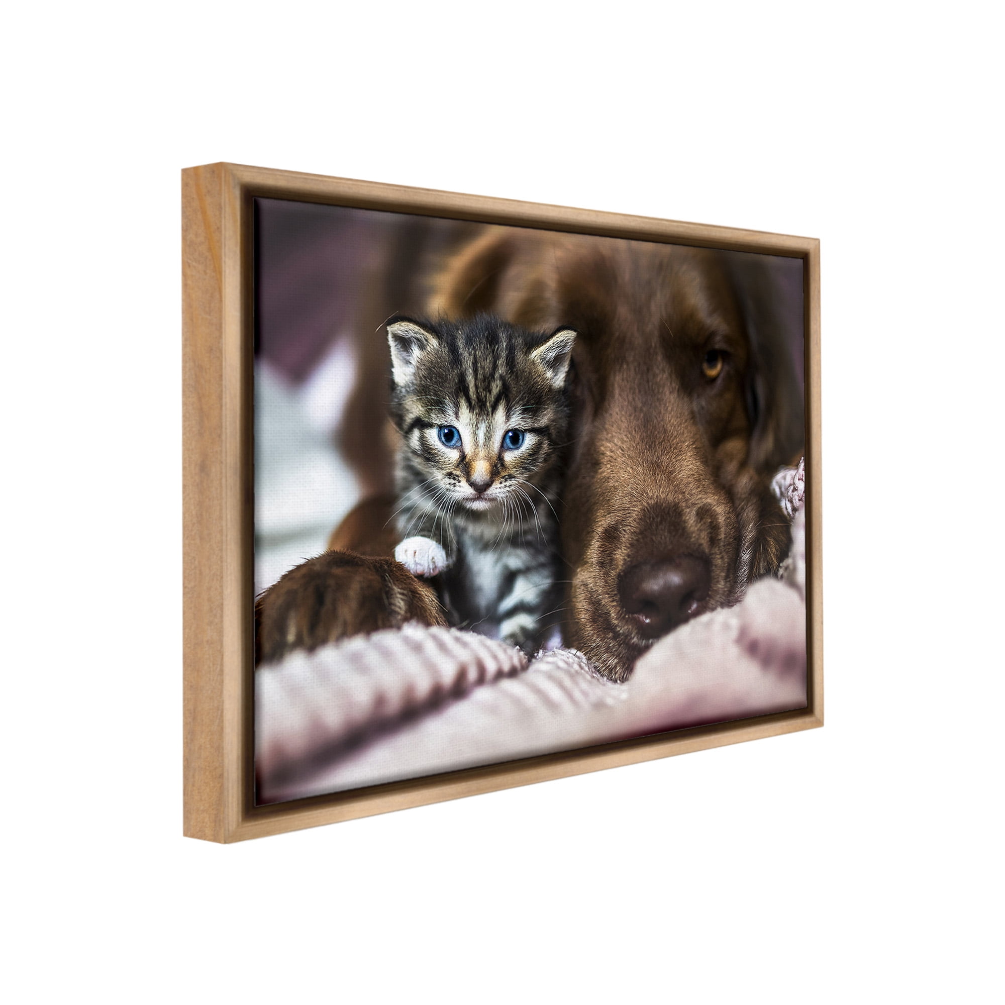 Stupell Industries Kitten & Dog Snuggling Animals & Insects Painting Brown Floater Framed Canvas Art Print Wall Art, 21 x 17