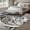 Gray, variant on Area Rug for Living Room, Grey Marble Non-Slip Indoor Large Carpet for Bedroom/Dining Room, Modern Abstract Art Ink Painting Washable Low-Profile Rectangle Floor Runner Rugs - 5 x 7 Ft