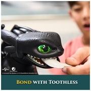 Dreamworks Dragons How to Train Your Dragon, Tame & Train Interactive Toothless