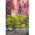 thumbnail image 2 of Head, Danny 11x14 White Modern Wood Framed Museum Art Print Titled - Canyon Cottonwoods, 2 of 4