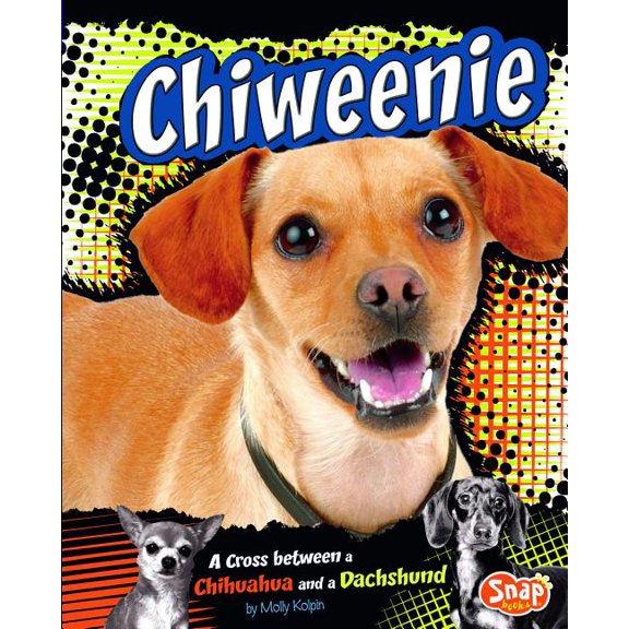 Designer Dogs: Chiweenie: A Cross Between a Chihuahua and a Dachshund (Hardcover)