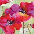 thumbnail image 2 of Amalfi Poppies Poster Print by Paul Brent, 2 of 2